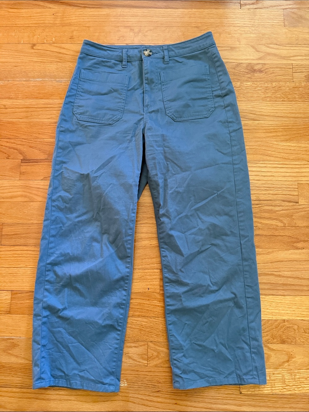 Quince Organic Cotton Wide Leg Chino Pants 4 Blue Utility Quiet Luxury
